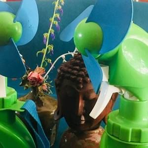 Meet your Posher, Susan